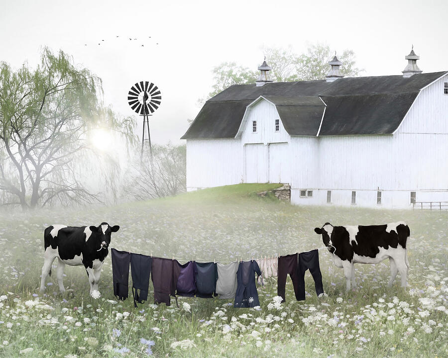 Amish Clothesline - Laundry Day Mixed Media by Lori Deiter