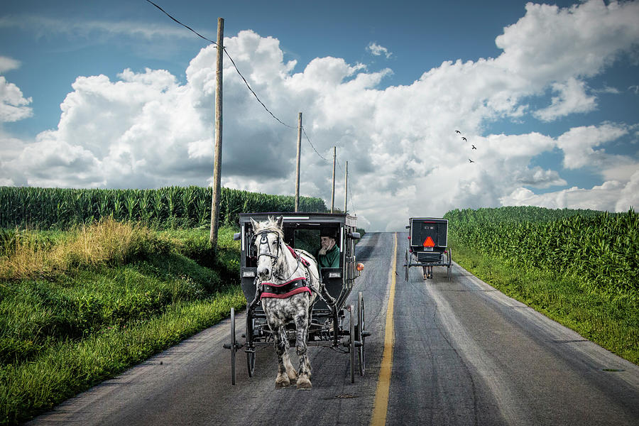 Amish Country Road Traffic Photograph