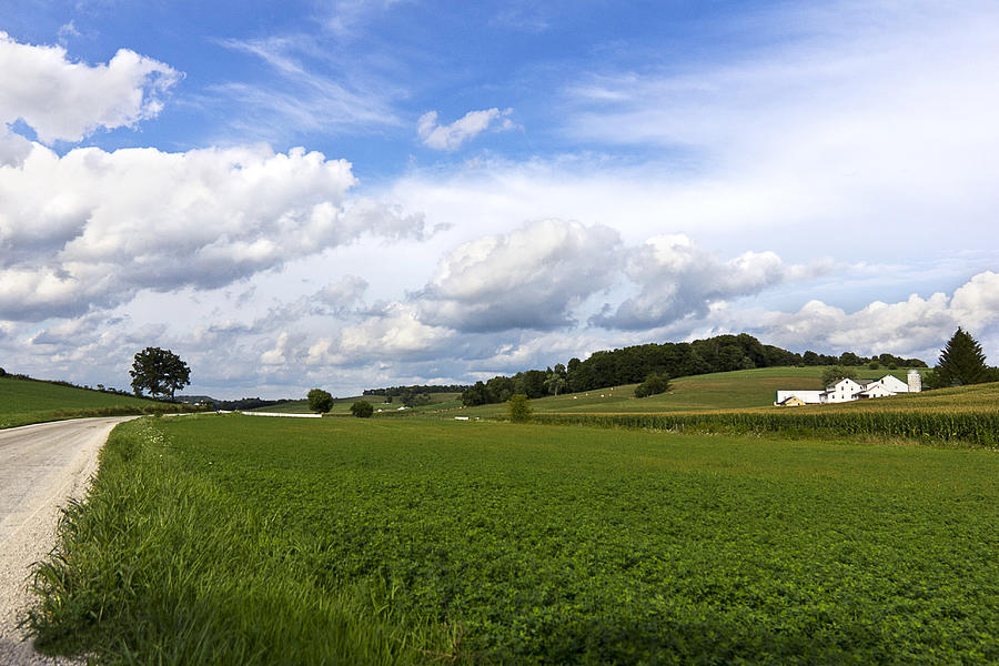 Amish county green field Photograph by _esse_