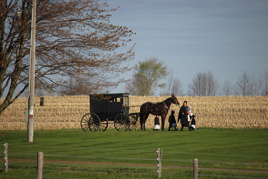 Amish Family Photograph by Brook Burling