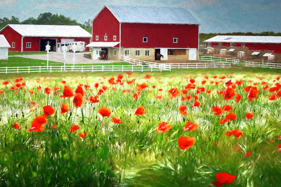 Amish Farm and Poppy Field Photograph by Deborah Penland
