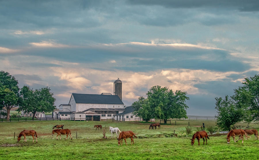 Amish Farm at Daybreak Photograph by Marcy Wielfaert