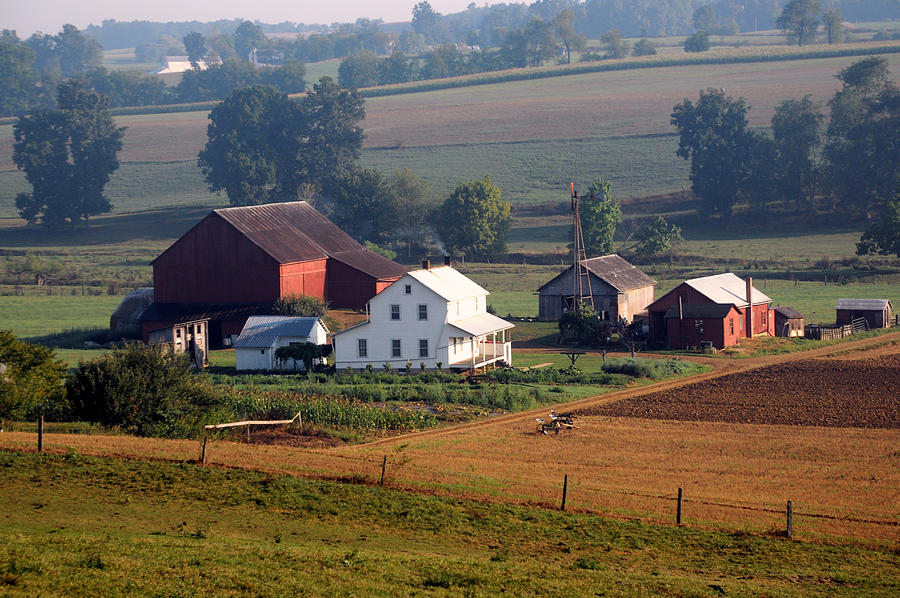  Amish Farms