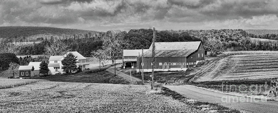 Amish Farm Black White  Photograph by Chuck Kuhn