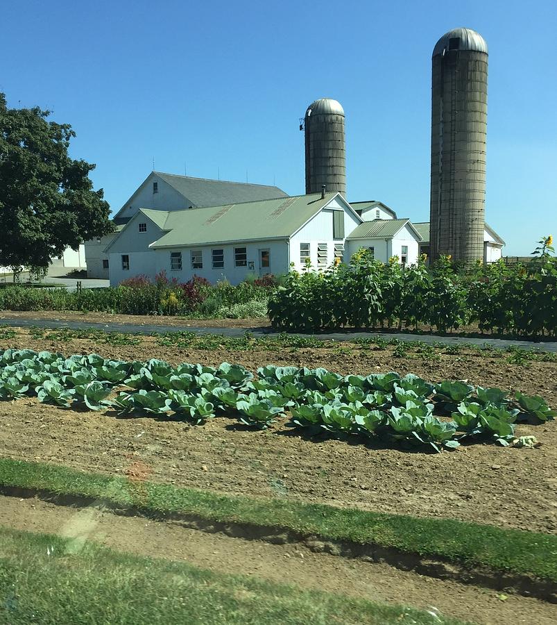 Amish Farm Photograph by Forrest Fortier