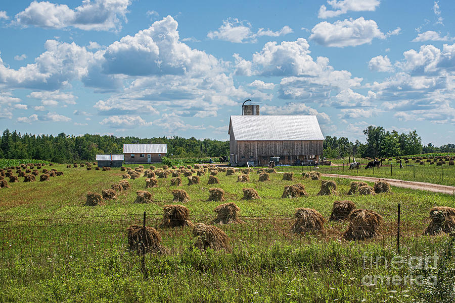 Amish Farm Photograph by Grace Grogan