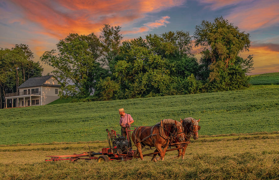 Amish Farmer at Sundown Photograph by Marcy Wielfaert