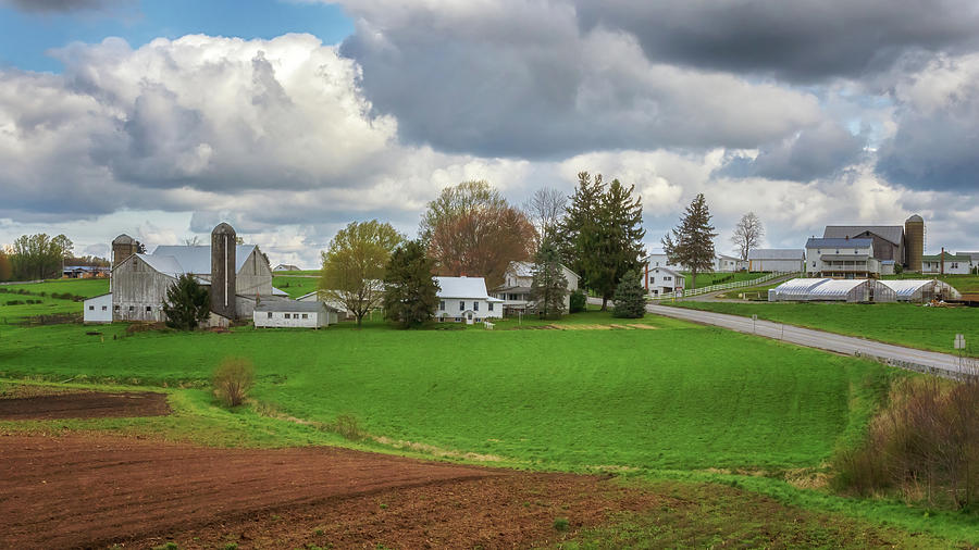 Amish Farms in Lawrence County, PA Photograph by Susan Rissi Tregoning