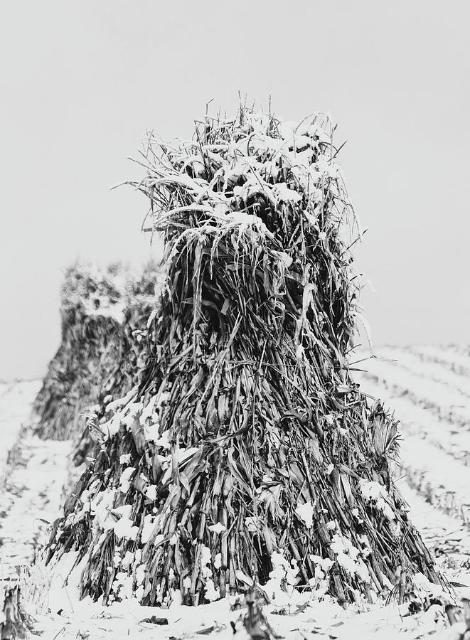 Amish Hay In Winter Photograph by Dan Sproul