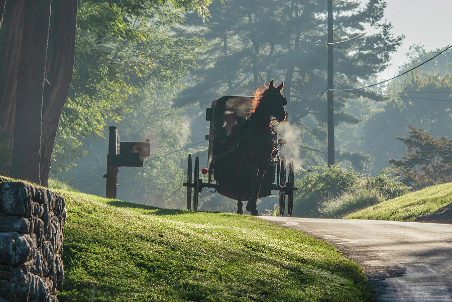 Amish Horse and Buggy - Lancaster County Pa Photograph by Bill Cannon