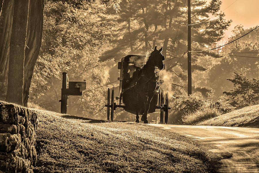 Amish Horse and Buggy - Lancaster County Pa in Sepia Photograph by Bill Cannon
