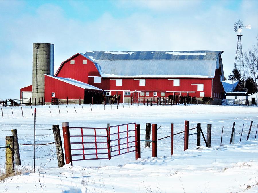Amish Horse Barn  Photograph by Lori Frisch
