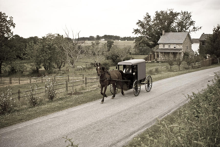 Amish Horse-drawn Buggy Lancaster County Pennsylvania Photograph by DenGuy