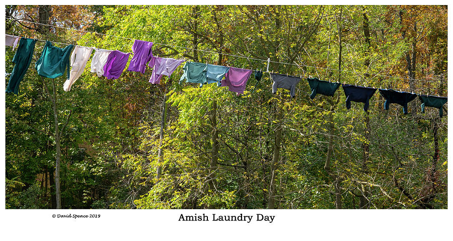 Amish Laundry Day Photograph by David Speace