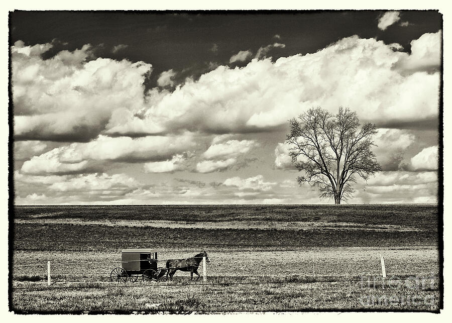 Amish Life Photograph by Jack Paolini
