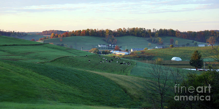 Amish Morning Countryside 6864 Photograph by Jack Schultz