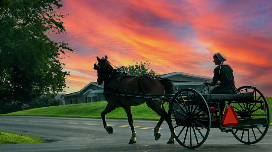 Amish Silhouette at Sunset Photograph by Marcy Wielfaert