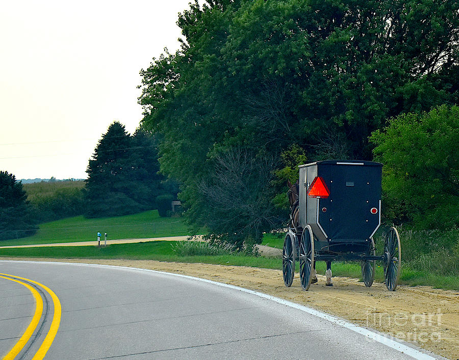 Amish Transportation Photograph by Linda Brittain