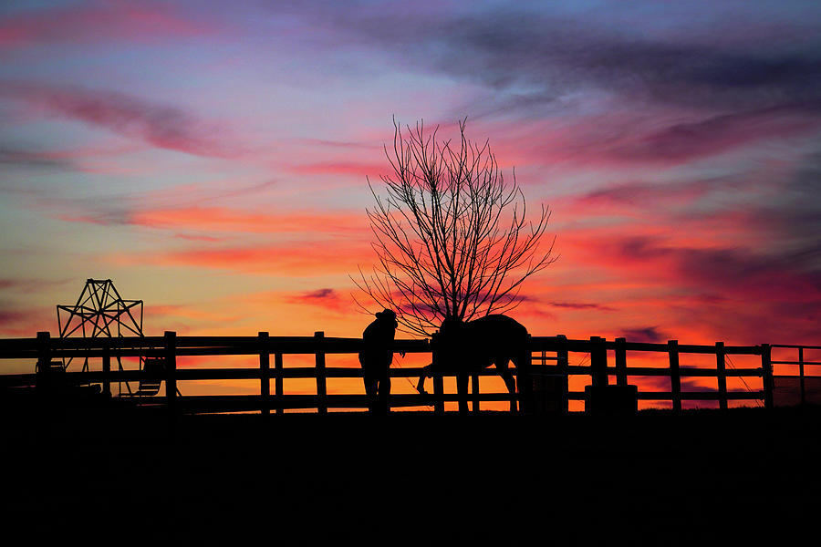 Amishman and His Horse at Sunset Photograph by Tana Reiff