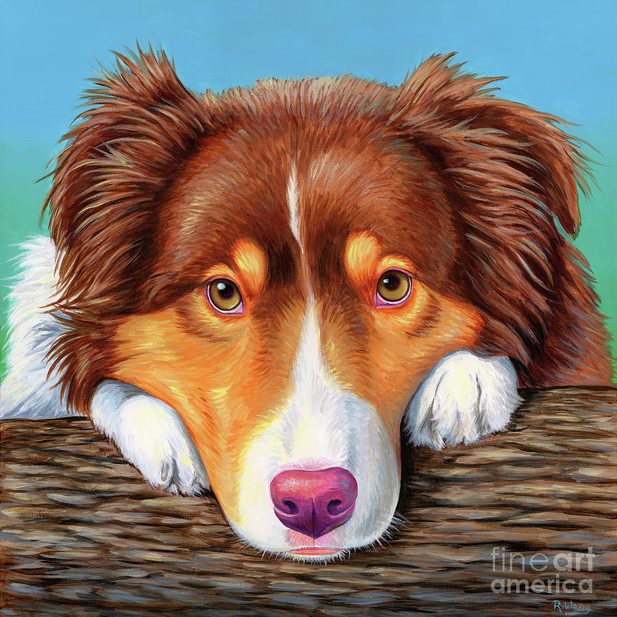 Ammo the Red Tricolor Australian Shepherd Painting by Rebecca Wang