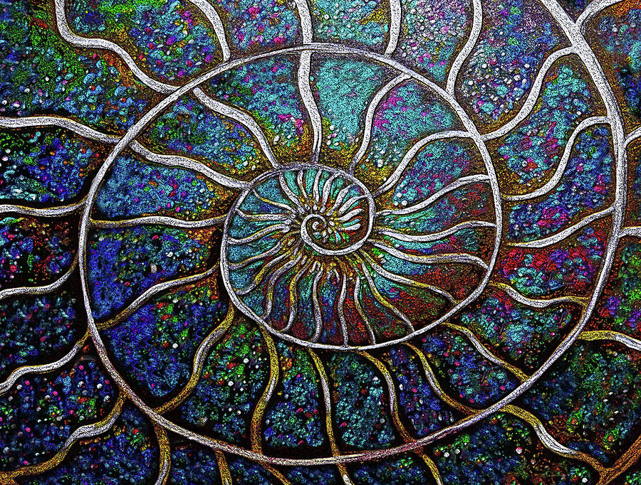 Ammonite 19c Painting by Doug LaRue