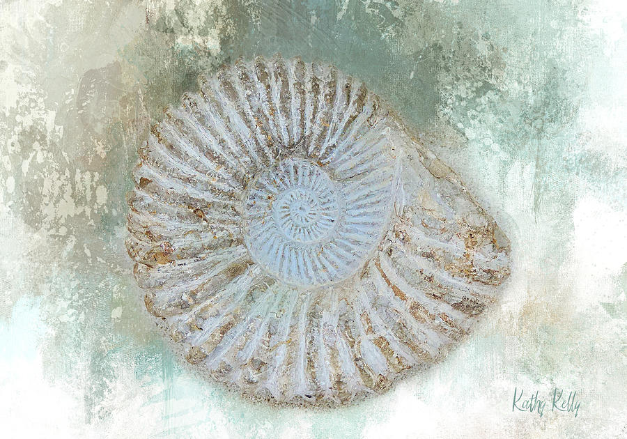Ammonite Facing Right Mixed Media by Kathy Kelly