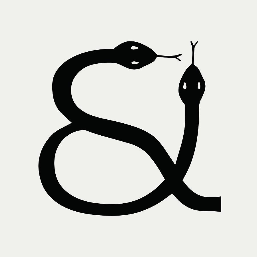 Cool Digital Art - Ampersand Series - Snakes Abstract by Ink Well
