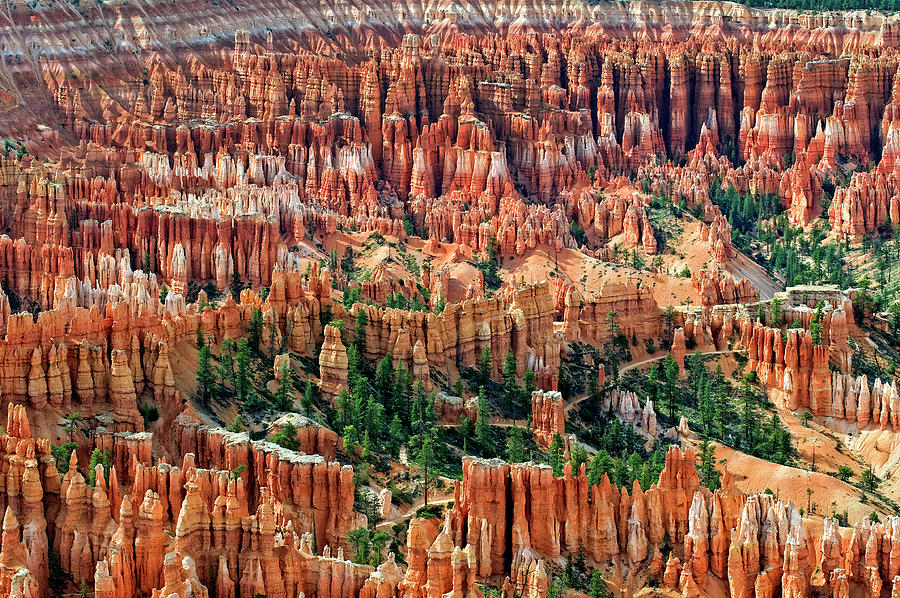 Amphitheater At Bryce Canyon Photograph by Jim Vallee