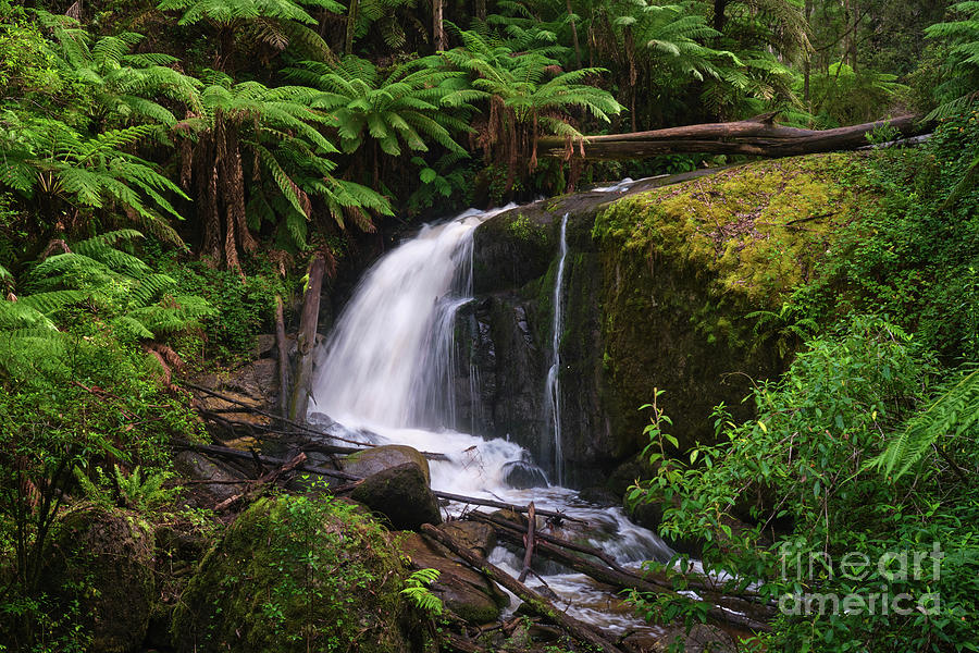 Amphitheatre Falls Photograph by Neil Maclachlan - Fine Art America