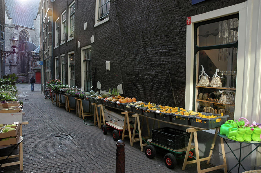 Amsterdam Alley Early Morning Photograph by Mary Lee Dereske