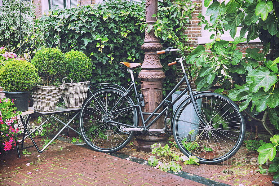 Amsterdam cycle Photograph by Jane Rix