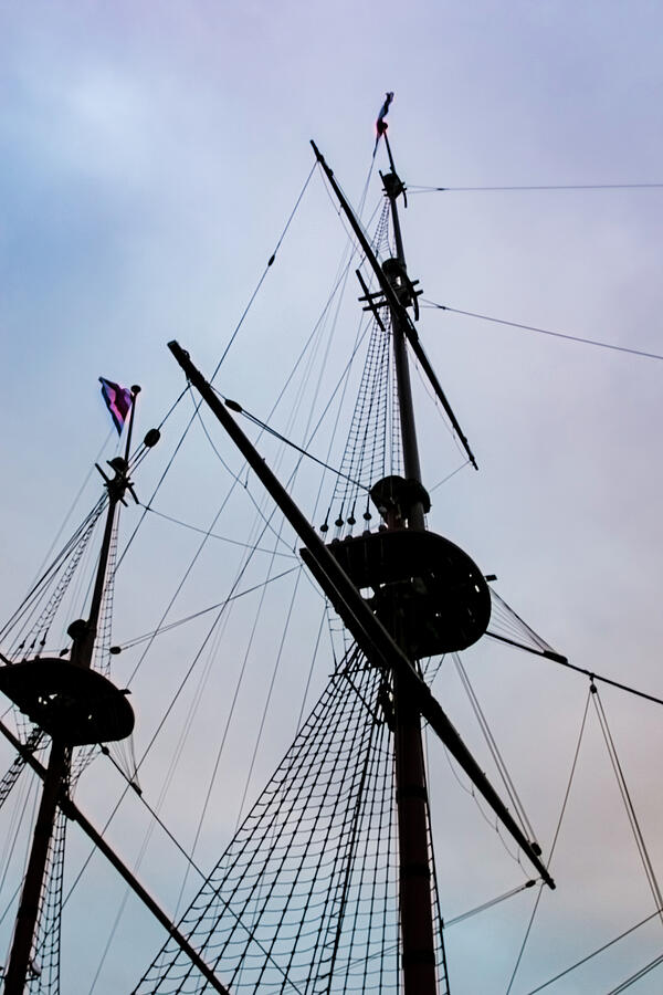 Amsterdam Mast Photograph