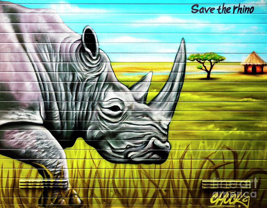 Amsterdam Save The Rhino Mural Photograph By John Rizzuto Fine Art America