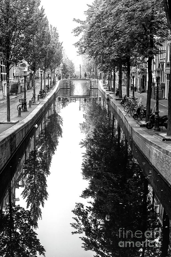 Amsterdam Tree Reflections on the Canal 2014 Photograph by John Rizzuto