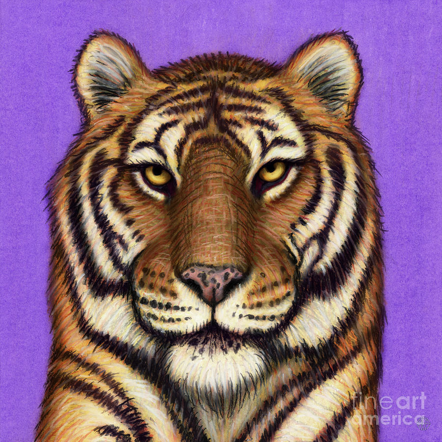 Amur Tiger  Painting by Amy E Fraser