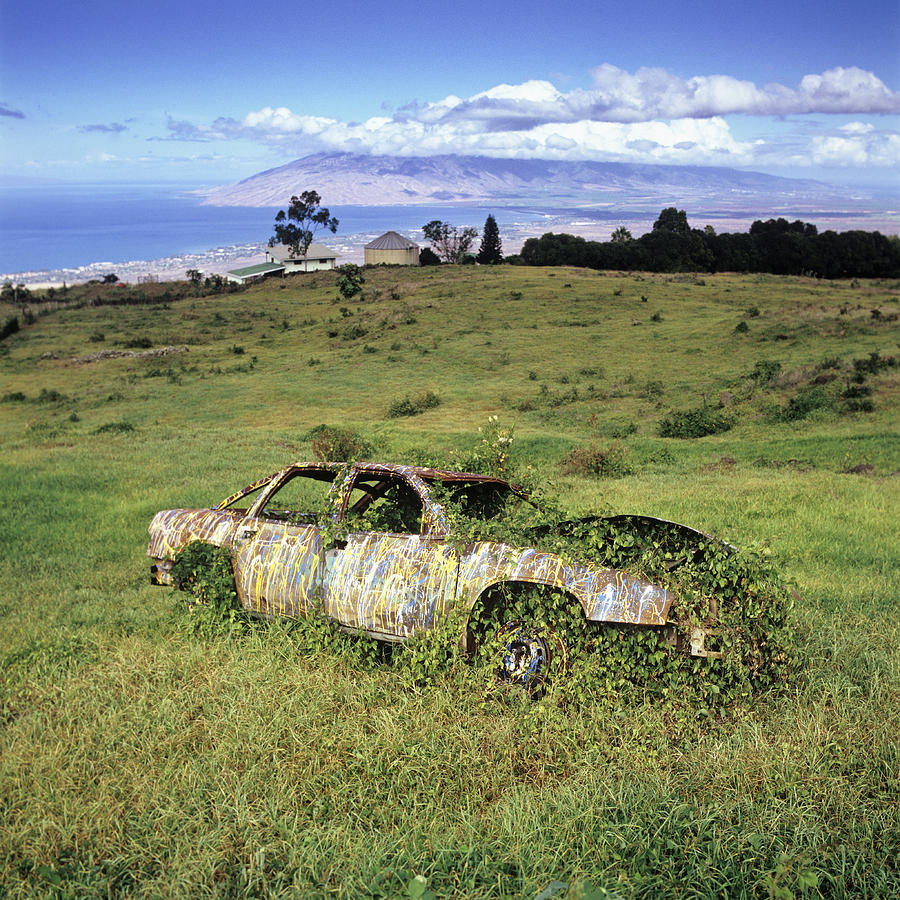 An abandoned car with ivy growing in and around it Photograph by fStop Images - Brian Caissie