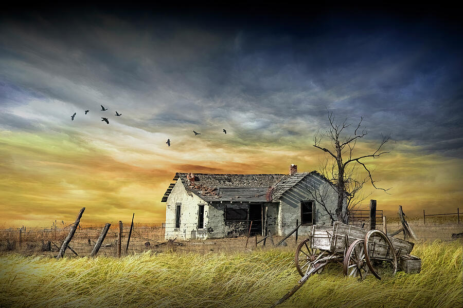 An abandoned house in the middle of a grassy field with leafless tree and an old wooden wagon Photograph by Randall Nyhof An abandoned house in the middle of a grassy field with leafless tree and an old wooden wagon Photograph by Randall Nyhof