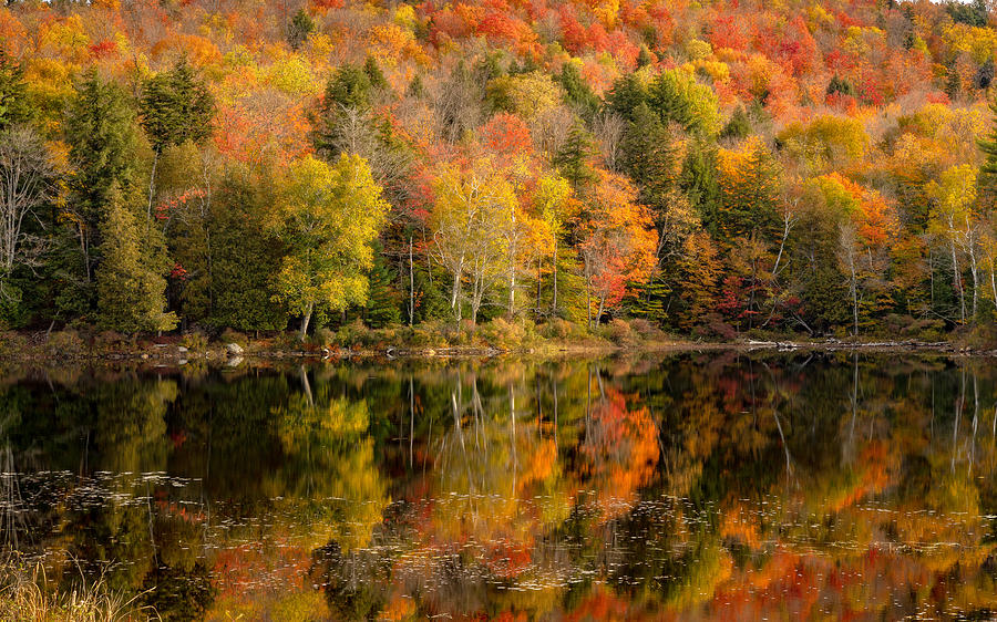 An Adirondack Autumn Photograph by Rod Best