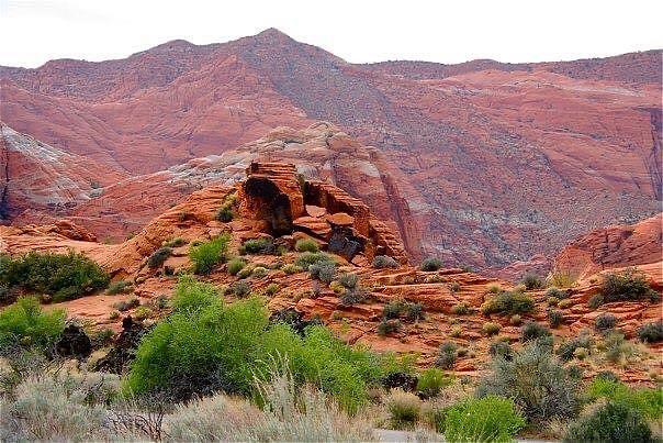 An afternoon in Snow Canyon Photograph by Patricia Haynes