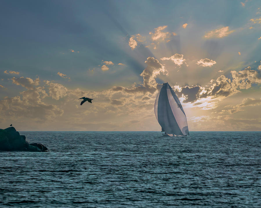 An Afternoon Sail on the Ocean Photograph by Lindsay Thomson