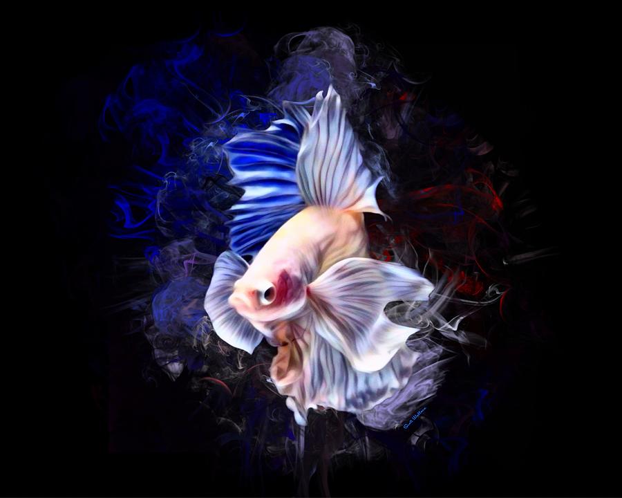 An Albino Betta Fish Portrait Digital Art By Scott Wallace Digital Designs