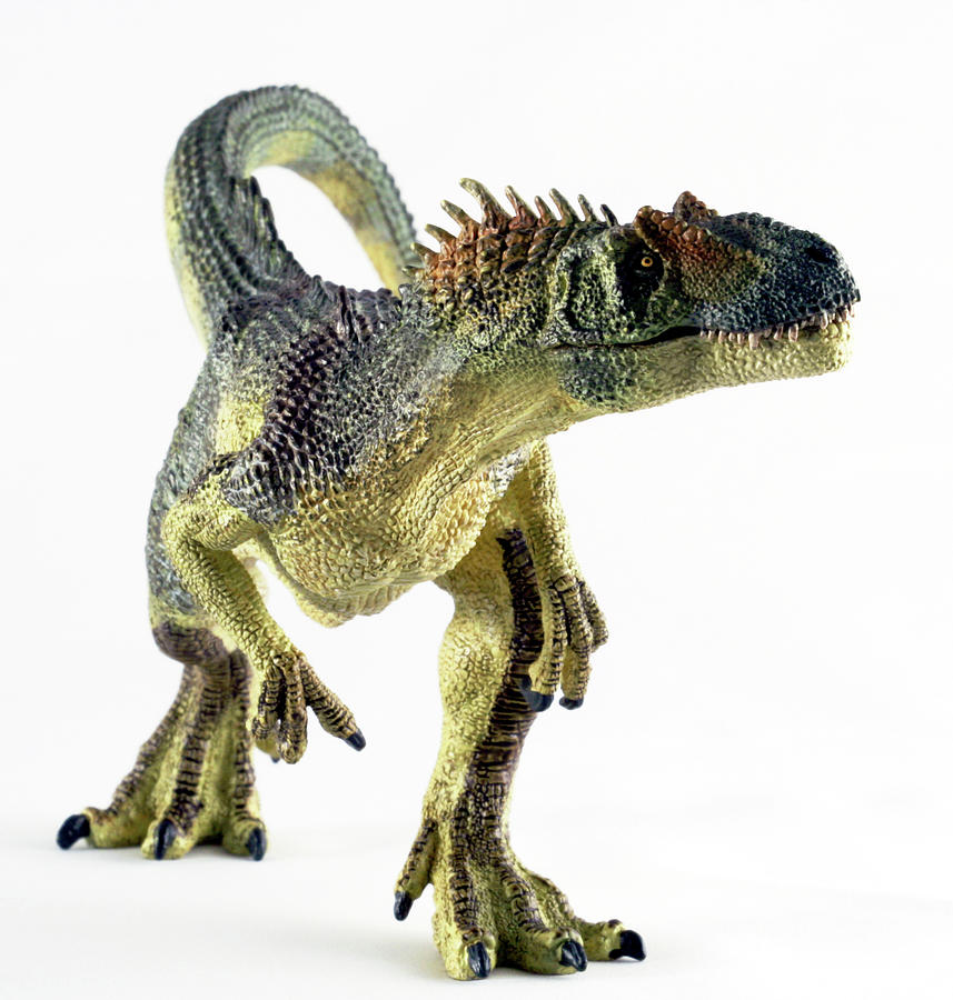 An Allosaurus On White Digital Art