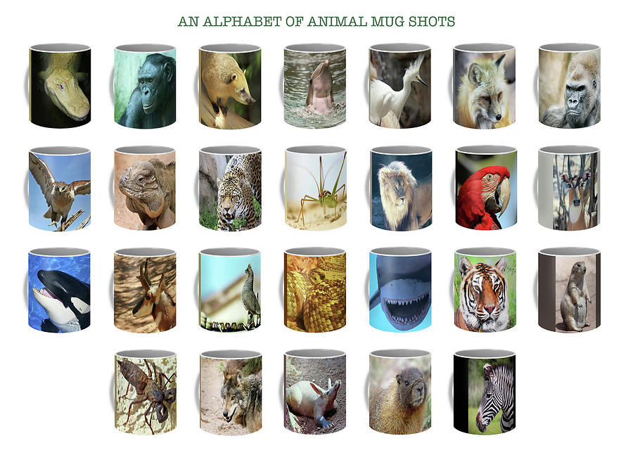 An Alphabet Of Animal Mug Shots Digital Art