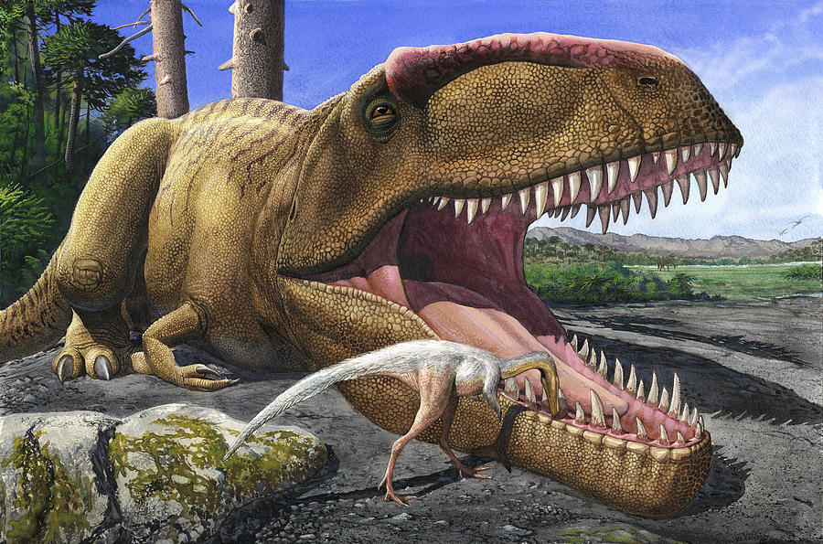 An Alvarezsaurid bird cleans the mouth of a Giganotosaurus carolinii dinosaur. Drawing by Sergey Krasovskiy/Stocktrek Images