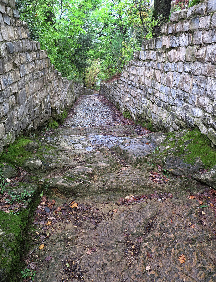 An Ancient Roman Path Photograph by Dave Mills