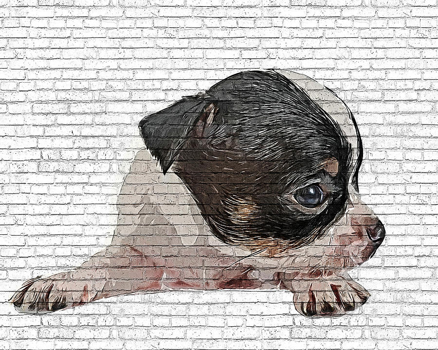 An Angel, Black and White Chihuahua Dog Puppy - Brick Block Background Painting by Custom Pet Portrait Art Studio
