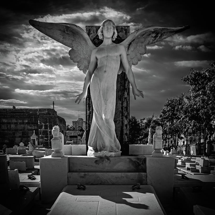 An Angel To Watch Over Them Photograph by Mike Schaffner