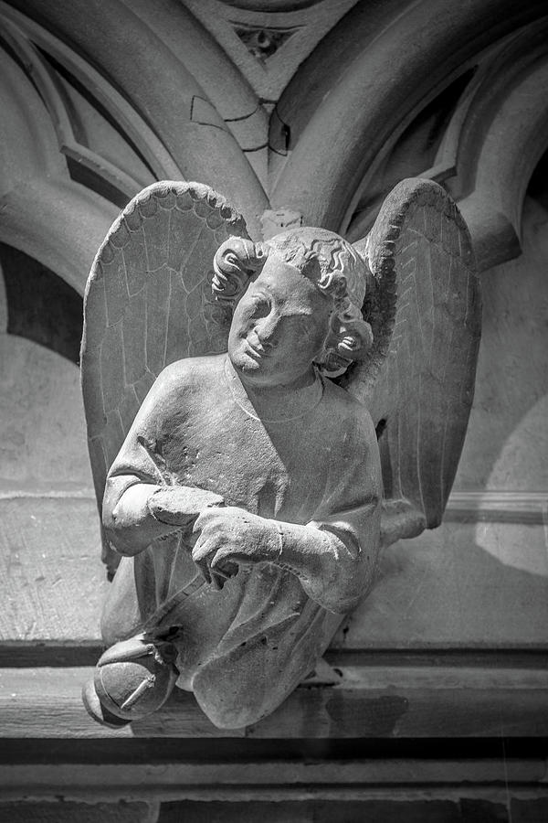 An Angels Perch Photograph by W Chris Fooshee