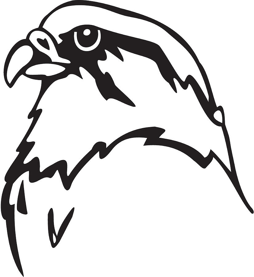 An animated black and white falcon Drawing by Chuvipro