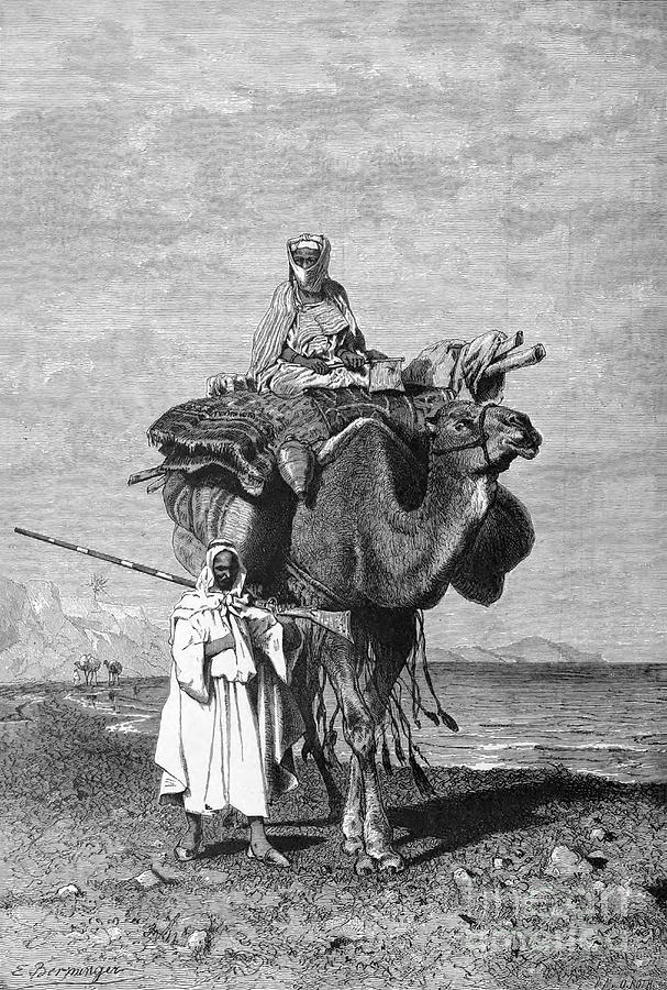 An Arab Family with a Camel b1 Photograph by Historic illustrations ...